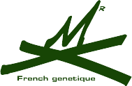 Logo MrX vert